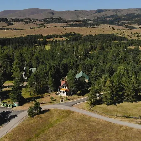 Zlatni Bor * Zlatibor