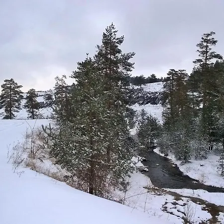 Zlatni Bor Σαλέ Ζλάτιμπορ
