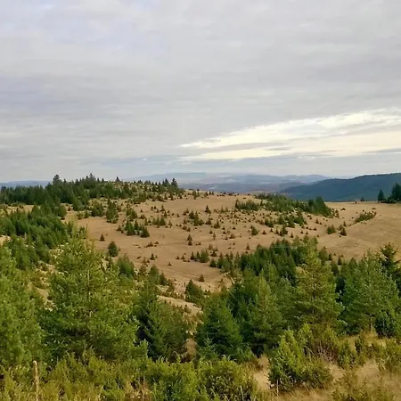 Zlatni Bor Chalé