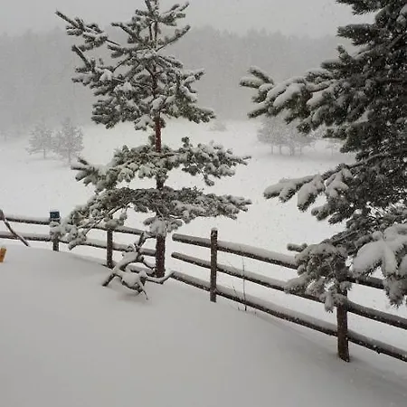 Zlatni Bor Chalet *