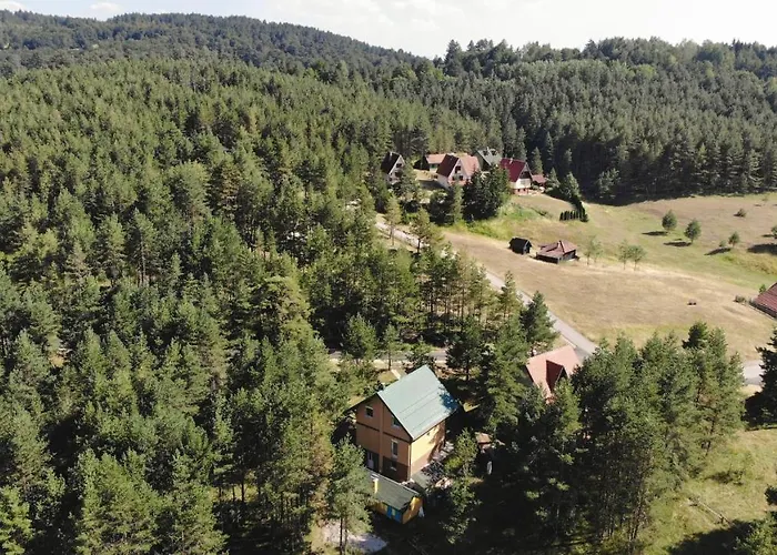 Zlatni Bor 즐라티보