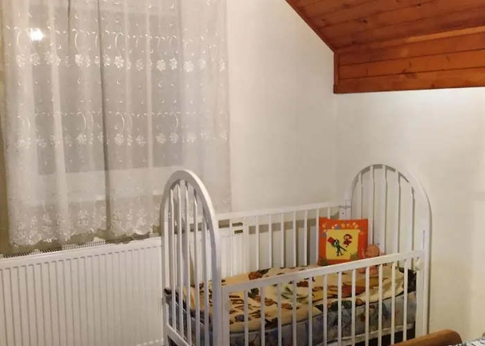 샬레 Zlatni Bor 즐라티보