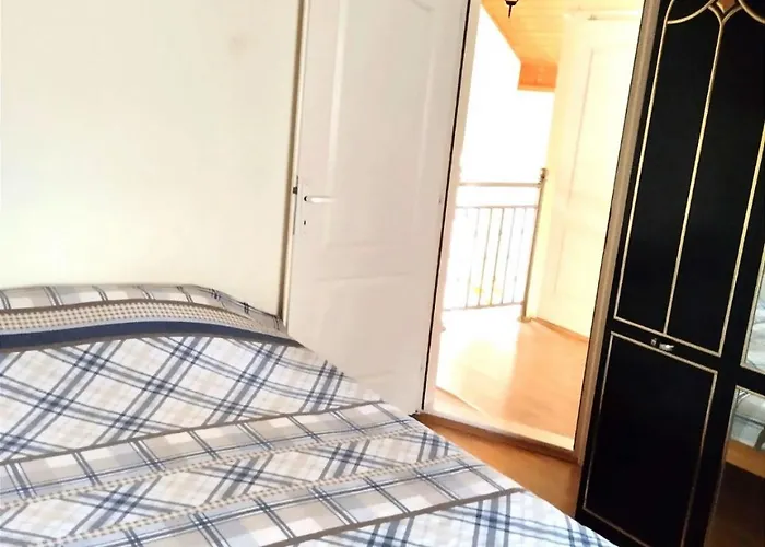 Zlatni Bor * 즐라티보