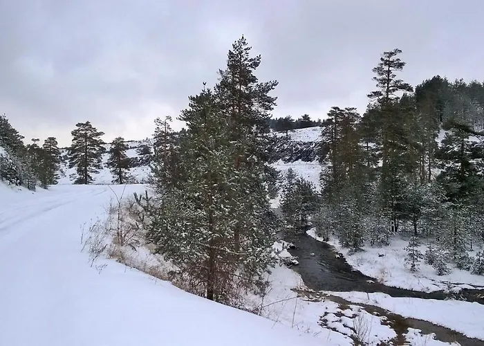 Zlatni Bor 샬레 즐라티보