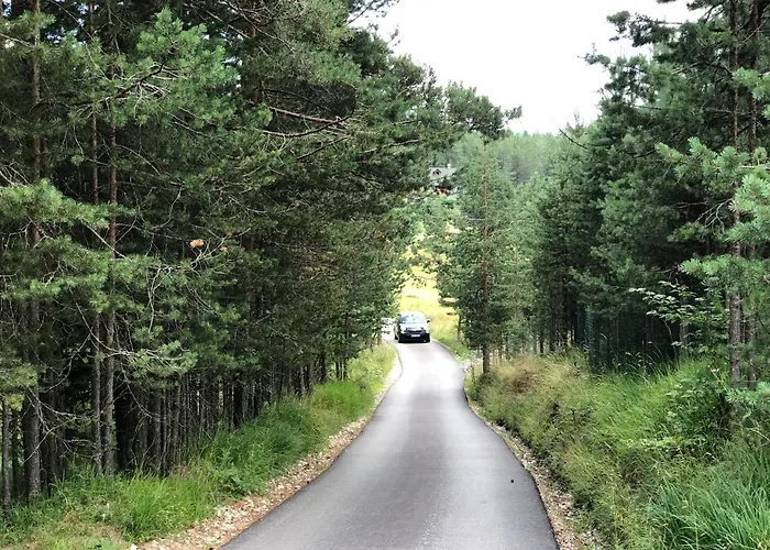 Zlatni Bor 즐라티보