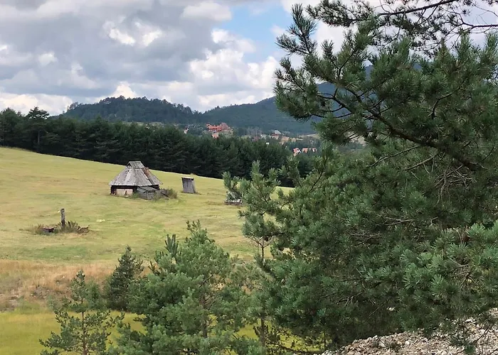 Zlatni Bor 샬레 즐라티보